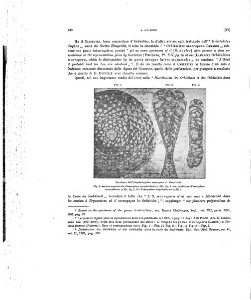 Palaeontographia Italica raccolta di monografie paleontologiche fondata da Mario Canavari nell'anno 1895