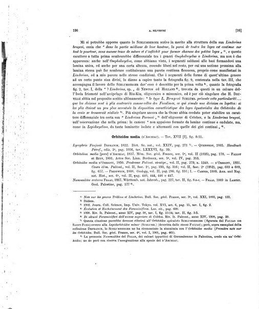 Palaeontographia Italica raccolta di monografie paleontologiche fondata da Mario Canavari nell'anno 1895