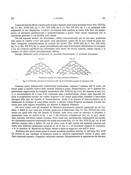 Palaeontographia Italica raccolta di monografie paleontologiche fondata da Mario Canavari nell'anno 1895