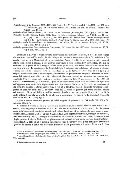 Palaeontographia Italica raccolta di monografie paleontologiche fondata da Mario Canavari nell'anno 1895