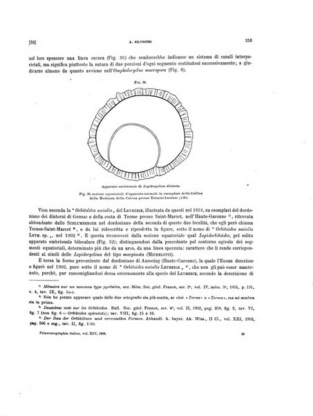 Palaeontographia Italica raccolta di monografie paleontologiche fondata da Mario Canavari nell'anno 1895