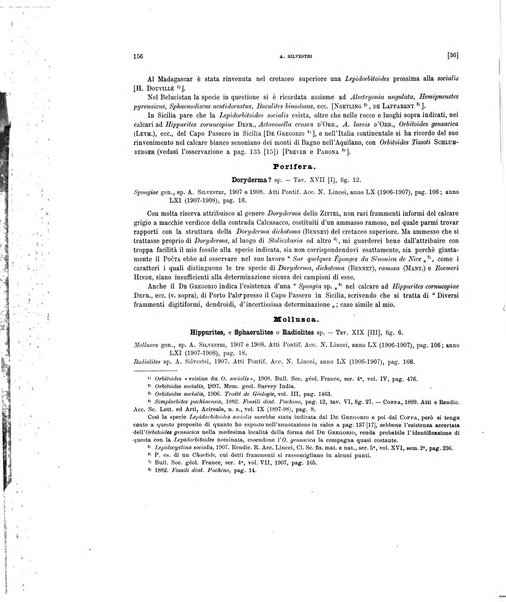 Palaeontographia Italica raccolta di monografie paleontologiche fondata da Mario Canavari nell'anno 1895