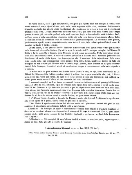 Palaeontographia Italica raccolta di monografie paleontologiche fondata da Mario Canavari nell'anno 1895