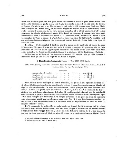 Palaeontographia Italica raccolta di monografie paleontologiche fondata da Mario Canavari nell'anno 1895