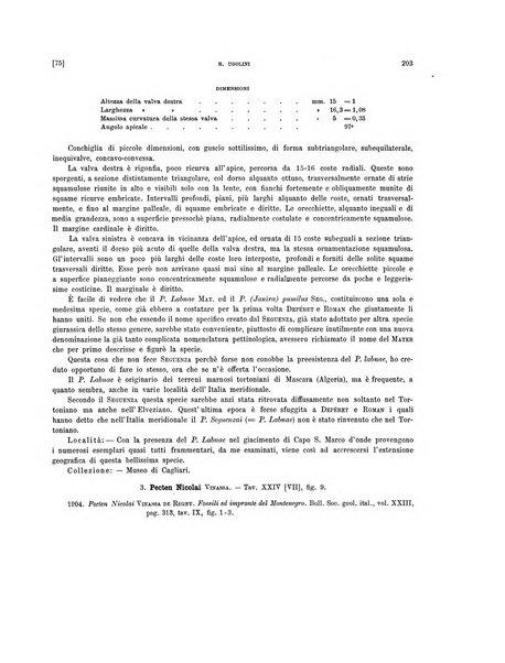 Palaeontographia Italica raccolta di monografie paleontologiche fondata da Mario Canavari nell'anno 1895