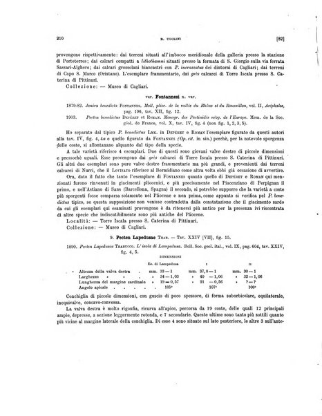 Palaeontographia Italica raccolta di monografie paleontologiche fondata da Mario Canavari nell'anno 1895