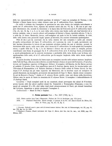 Palaeontographia Italica raccolta di monografie paleontologiche fondata da Mario Canavari nell'anno 1895