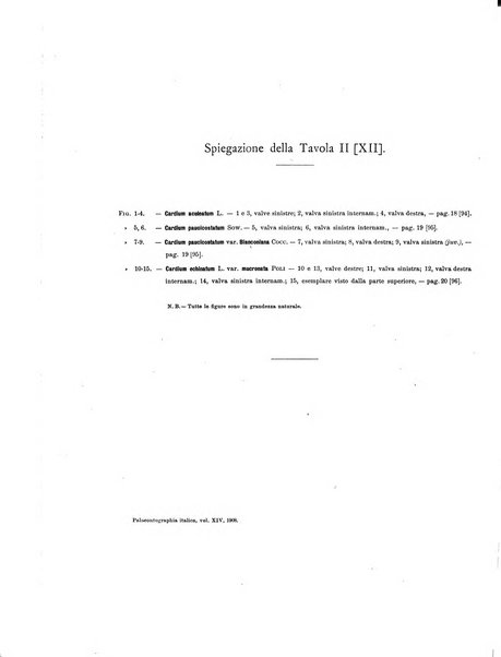 Palaeontographia Italica raccolta di monografie paleontologiche fondata da Mario Canavari nell'anno 1895