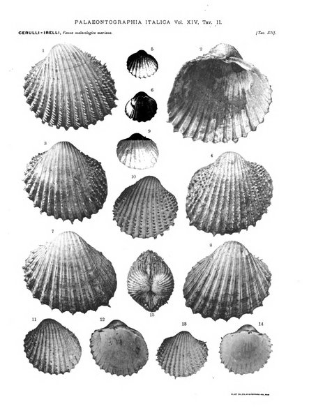 Palaeontographia Italica raccolta di monografie paleontologiche fondata da Mario Canavari nell'anno 1895