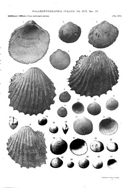 Palaeontographia Italica raccolta di monografie paleontologiche fondata da Mario Canavari nell'anno 1895