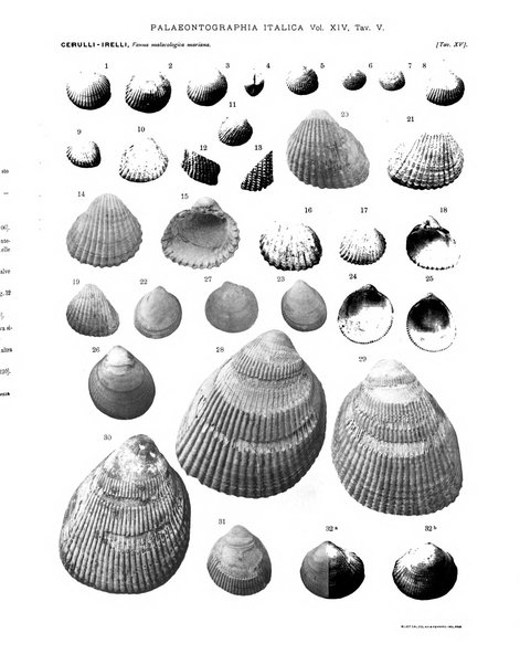 Palaeontographia Italica raccolta di monografie paleontologiche fondata da Mario Canavari nell'anno 1895