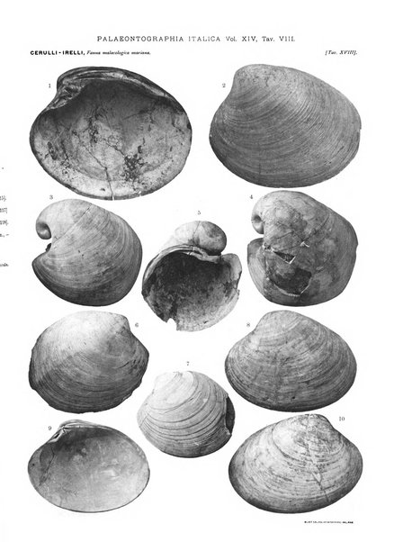 Palaeontographia Italica raccolta di monografie paleontologiche fondata da Mario Canavari nell'anno 1895