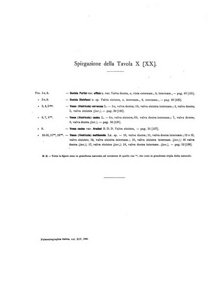 Palaeontographia Italica raccolta di monografie paleontologiche fondata da Mario Canavari nell'anno 1895