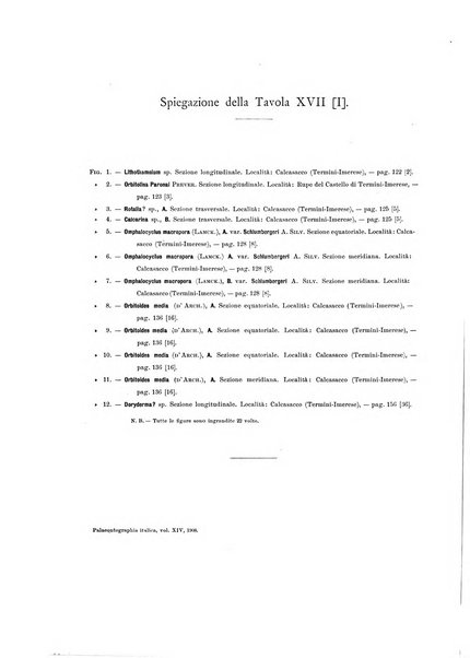 Palaeontographia Italica raccolta di monografie paleontologiche fondata da Mario Canavari nell'anno 1895