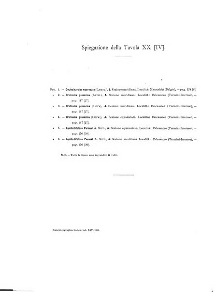 Palaeontographia Italica raccolta di monografie paleontologiche fondata da Mario Canavari nell'anno 1895