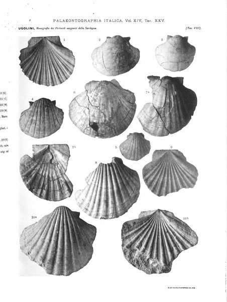 Palaeontographia Italica raccolta di monografie paleontologiche fondata da Mario Canavari nell'anno 1895