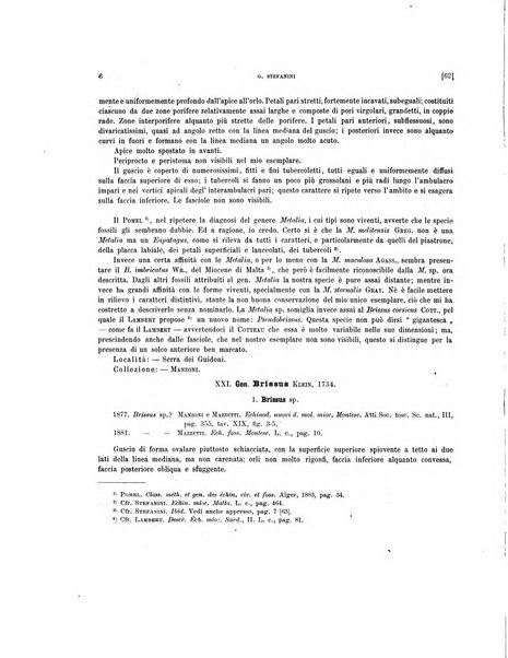 Palaeontographia Italica raccolta di monografie paleontologiche fondata da Mario Canavari nell'anno 1895