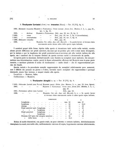 Palaeontographia Italica raccolta di monografie paleontologiche fondata da Mario Canavari nell'anno 1895