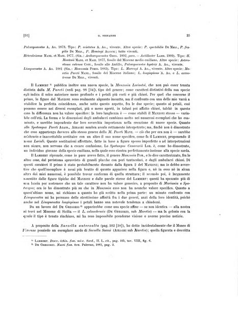 Palaeontographia Italica raccolta di monografie paleontologiche fondata da Mario Canavari nell'anno 1895