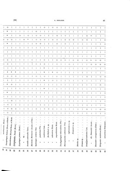 Palaeontographia Italica raccolta di monografie paleontologiche fondata da Mario Canavari nell'anno 1895