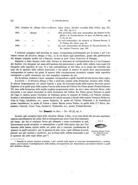 Palaeontographia Italica raccolta di monografie paleontologiche fondata da Mario Canavari nell'anno 1895