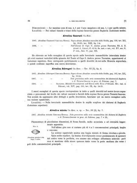 Palaeontographia Italica raccolta di monografie paleontologiche fondata da Mario Canavari nell'anno 1895