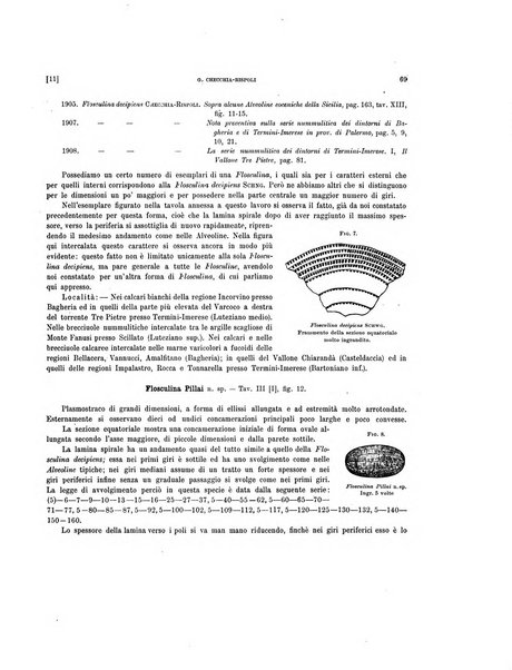 Palaeontographia Italica raccolta di monografie paleontologiche fondata da Mario Canavari nell'anno 1895