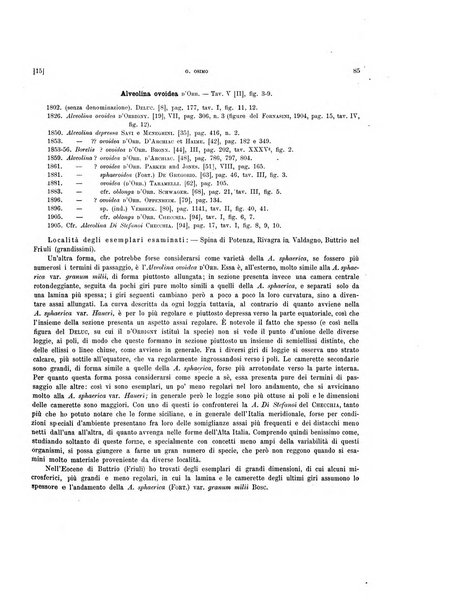 Palaeontographia Italica raccolta di monografie paleontologiche fondata da Mario Canavari nell'anno 1895