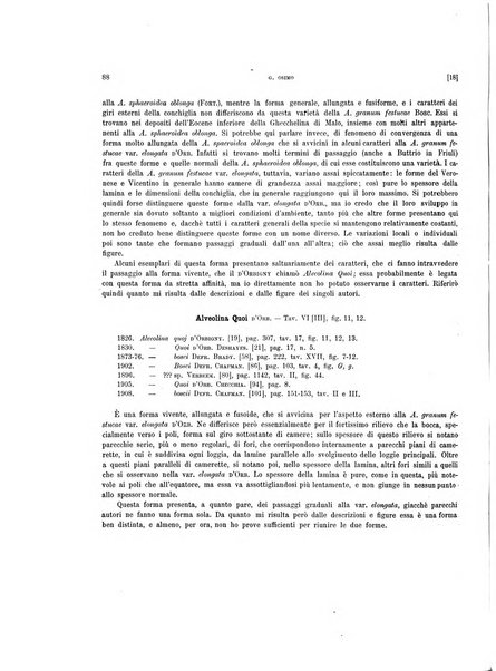 Palaeontographia Italica raccolta di monografie paleontologiche fondata da Mario Canavari nell'anno 1895