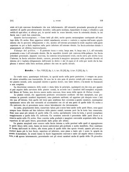 Palaeontographia Italica raccolta di monografie paleontologiche fondata da Mario Canavari nell'anno 1895