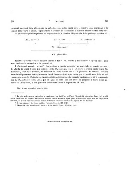 Palaeontographia Italica raccolta di monografie paleontologiche fondata da Mario Canavari nell'anno 1895