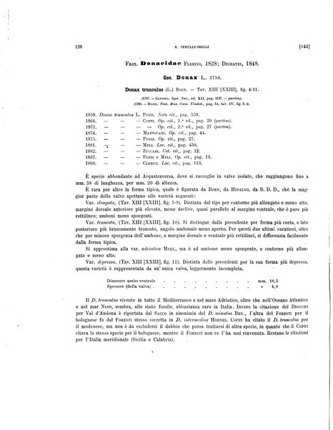 Palaeontographia Italica raccolta di monografie paleontologiche fondata da Mario Canavari nell'anno 1895