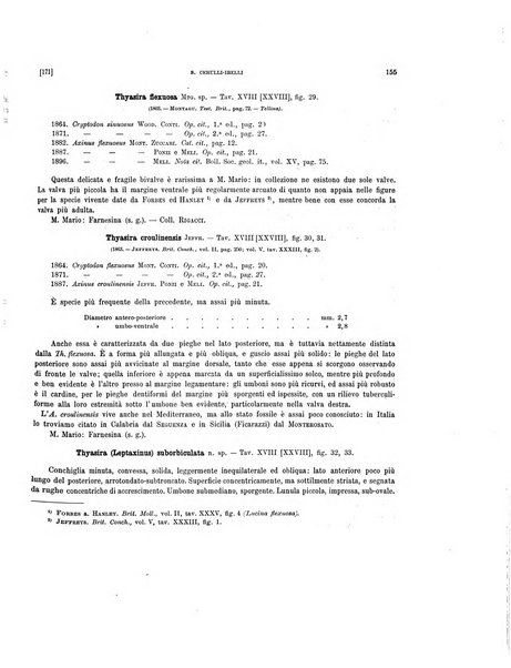 Palaeontographia Italica raccolta di monografie paleontologiche fondata da Mario Canavari nell'anno 1895