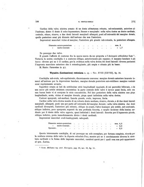 Palaeontographia Italica raccolta di monografie paleontologiche fondata da Mario Canavari nell'anno 1895