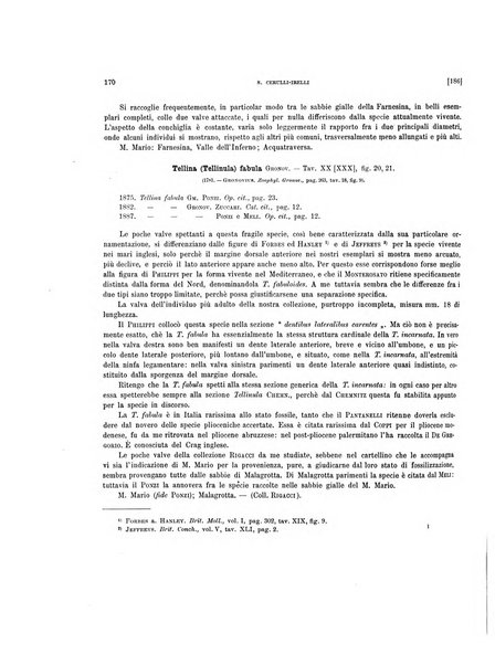 Palaeontographia Italica raccolta di monografie paleontologiche fondata da Mario Canavari nell'anno 1895