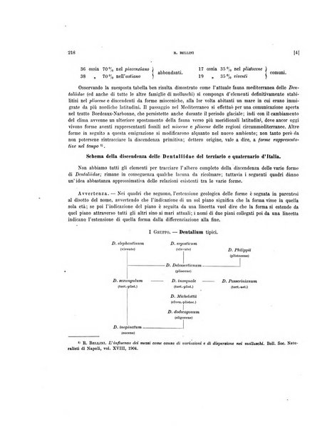 Palaeontographia Italica raccolta di monografie paleontologiche fondata da Mario Canavari nell'anno 1895