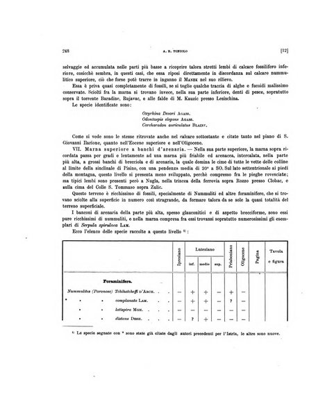 Palaeontographia Italica raccolta di monografie paleontologiche fondata da Mario Canavari nell'anno 1895