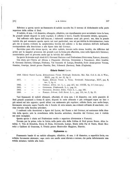 Palaeontographia Italica raccolta di monografie paleontologiche fondata da Mario Canavari nell'anno 1895