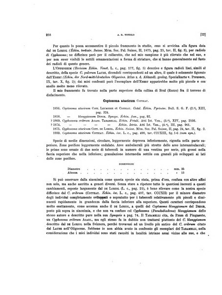 Palaeontographia Italica raccolta di monografie paleontologiche fondata da Mario Canavari nell'anno 1895