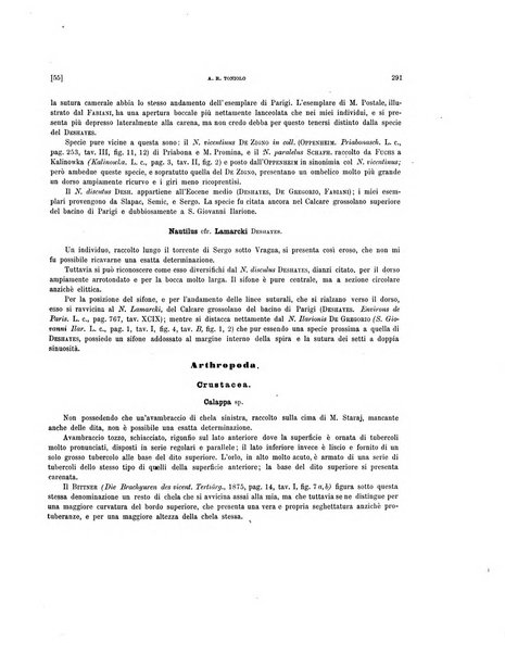 Palaeontographia Italica raccolta di monografie paleontologiche fondata da Mario Canavari nell'anno 1895