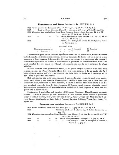 Palaeontographia Italica raccolta di monografie paleontologiche fondata da Mario Canavari nell'anno 1895