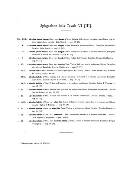 Palaeontographia Italica raccolta di monografie paleontologiche fondata da Mario Canavari nell'anno 1895