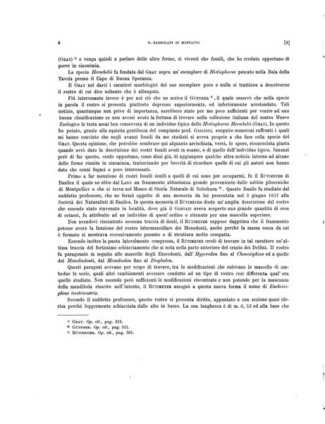 Palaeontographia Italica raccolta di monografie paleontologiche fondata da Mario Canavari nell'anno 1895