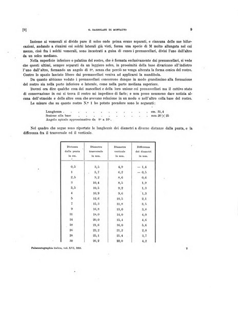 Palaeontographia Italica raccolta di monografie paleontologiche fondata da Mario Canavari nell'anno 1895