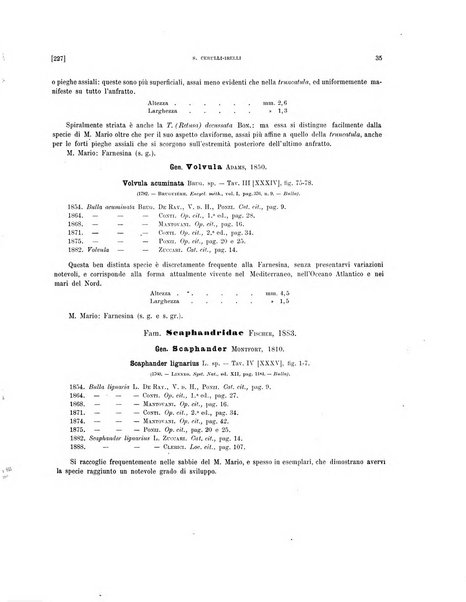 Palaeontographia Italica raccolta di monografie paleontologiche fondata da Mario Canavari nell'anno 1895