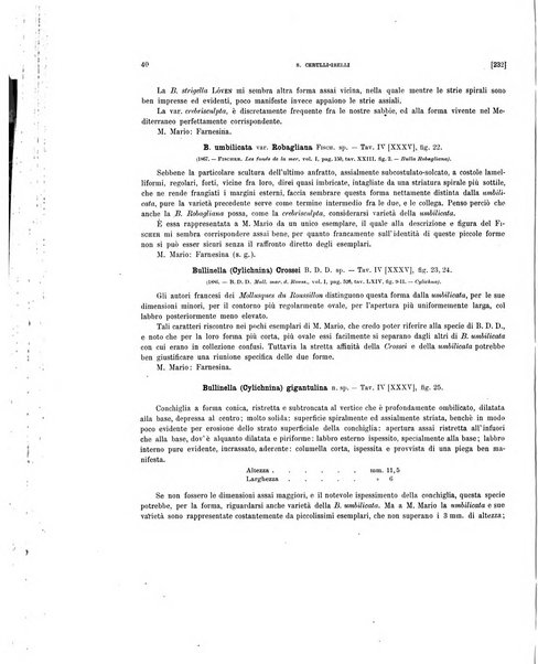 Palaeontographia Italica raccolta di monografie paleontologiche fondata da Mario Canavari nell'anno 1895