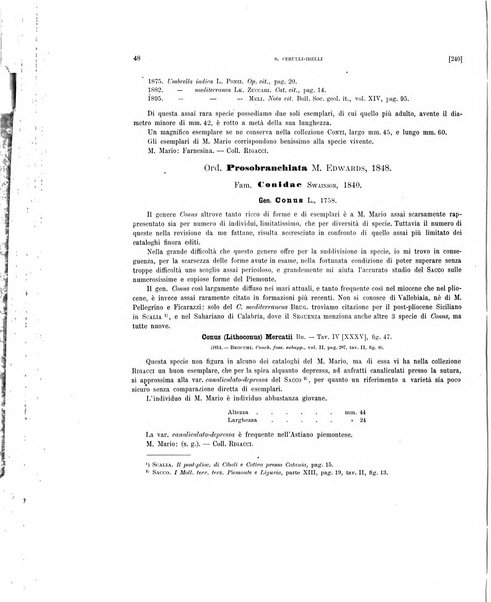 Palaeontographia Italica raccolta di monografie paleontologiche fondata da Mario Canavari nell'anno 1895