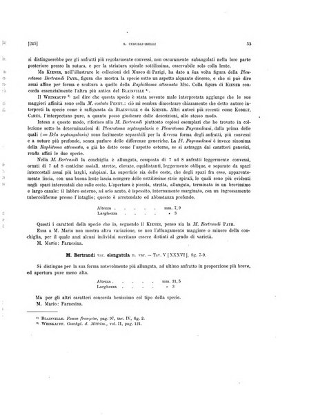 Palaeontographia Italica raccolta di monografie paleontologiche fondata da Mario Canavari nell'anno 1895