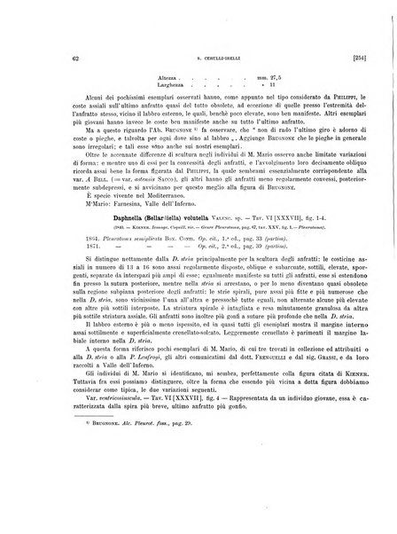 Palaeontographia Italica raccolta di monografie paleontologiche fondata da Mario Canavari nell'anno 1895