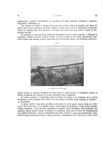 giornale/VEA0025754/1910/unico/00000082